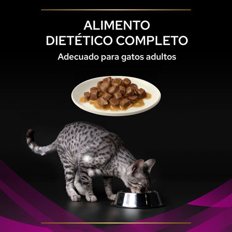 10 sobres x 85 g Pro Plan Veterinary Diets Feline UR Salm&oacute;n  x 85 g, , large Imagen numero 4