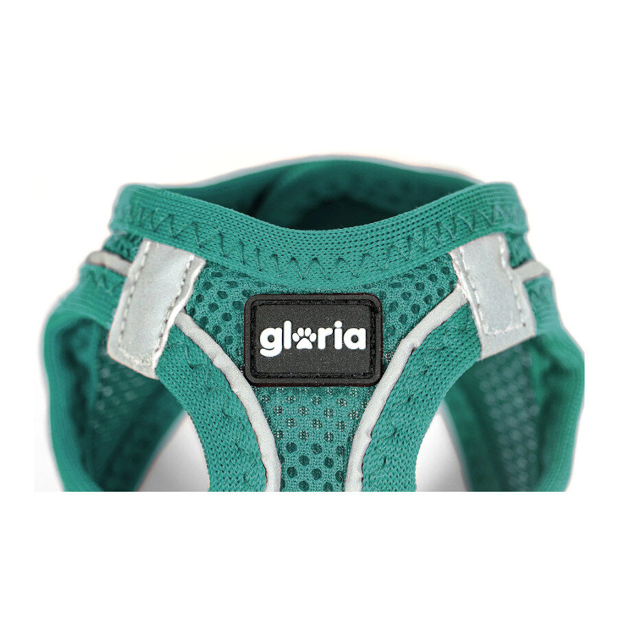 Gloria Air Mesh Trek Star Turquesa Arn&eacute;s/Vestido para perros, , large Imagen numero 5