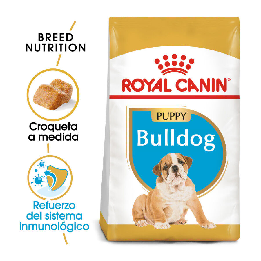 12 kg Royal Canin Puppy Bulldog pienso para cachorros, , large Imagen numero 1