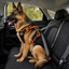 Outech X-perience Arn&eacute;s de Coche para perros, , large indicador imagen numero 2