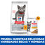 Hill's Science Plan Feline Sterilised Kitten Pollo en Salsa sobre para gatos, , large indicador imagen numero 5