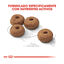 12 kg Royal Canin Sterilised Medium pienso para perros, , large indicador imagen numero 4
