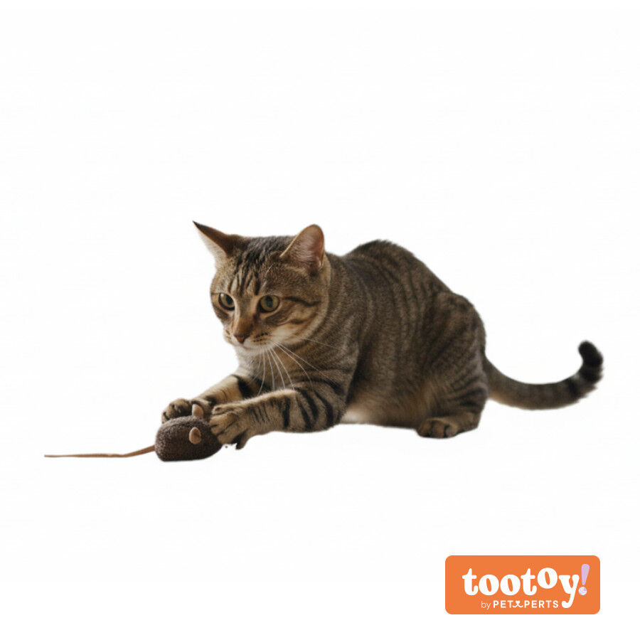 Tootoy! Rat&oacute;n de Juguete con Sonido para gatos, , large Imagen numero 9