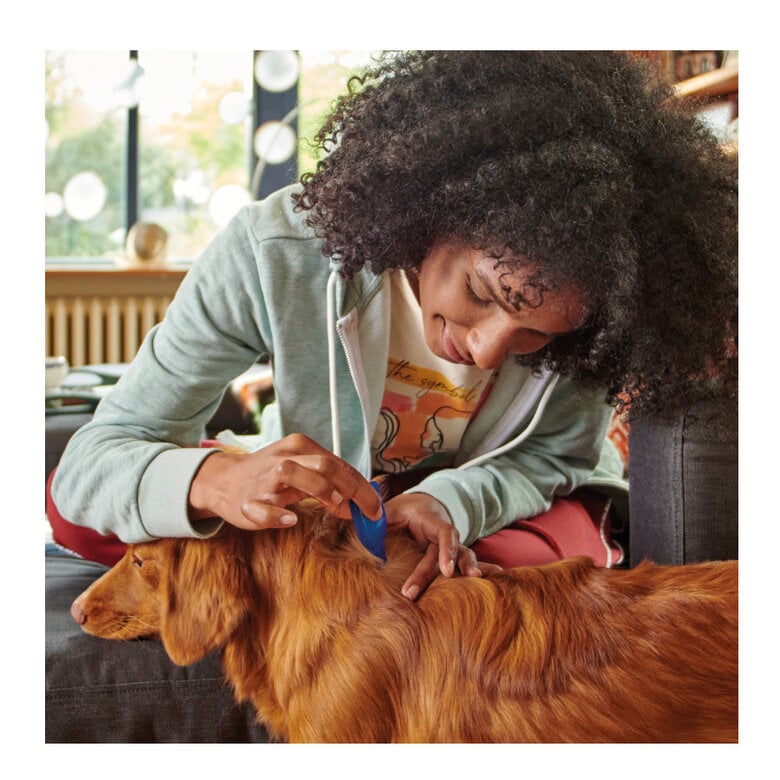 Beaphar FiproTec Pipetas para perros,  Imagen numero 6 Beaphar FiproTec Pipetas para perros, , large Imagen numero 6