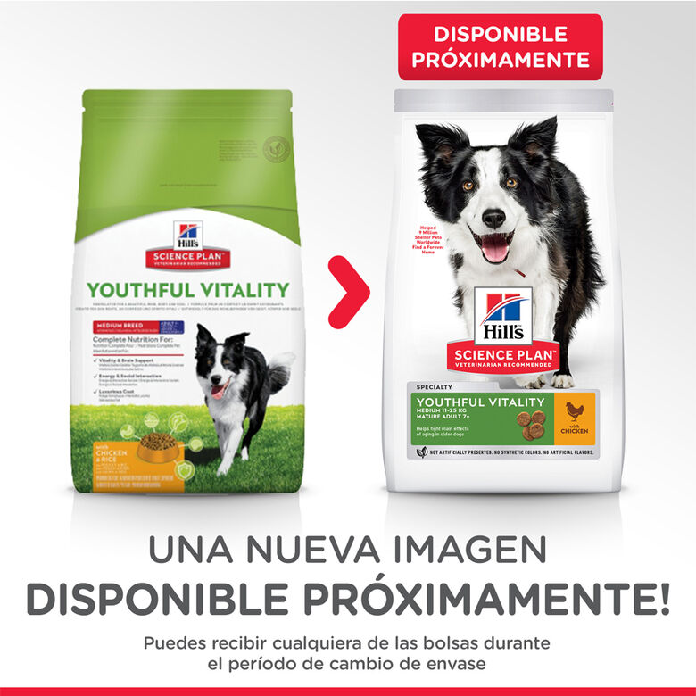 Hill&#039;s Science Plan Youthful Vitality Medium Adult Pollo pienso para perros thumbnail