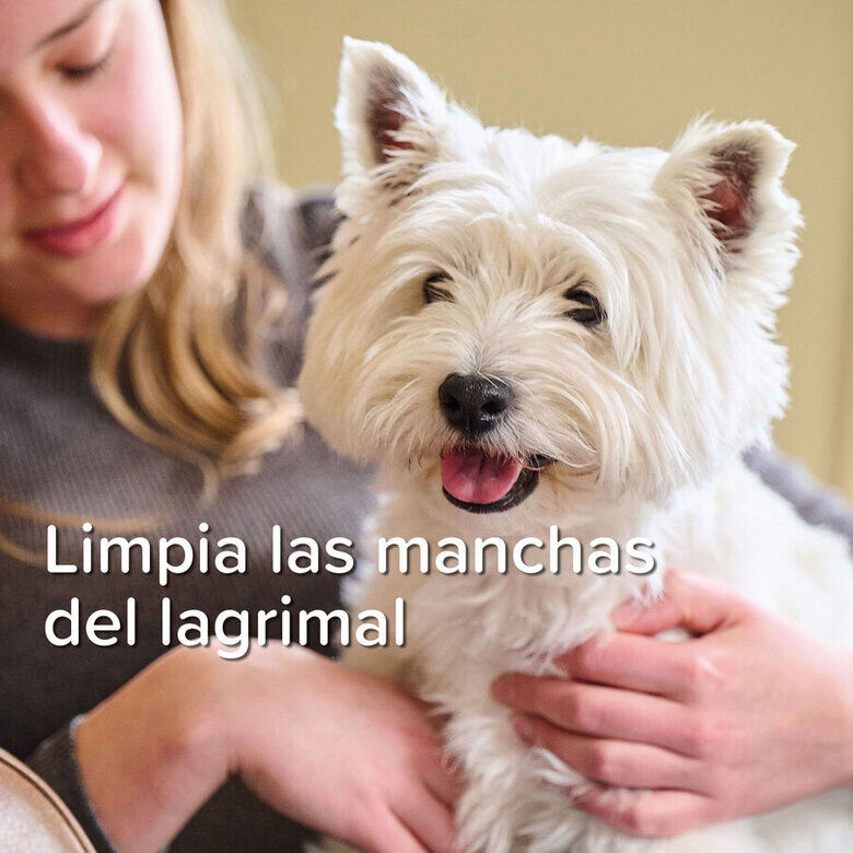 Beaphar Limpiador de Lagrimal para perros y gatos thumbnail