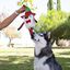 Wonder Christmas Zorro de Circo peluche navideño para perros, , large indicador imagen numero 3