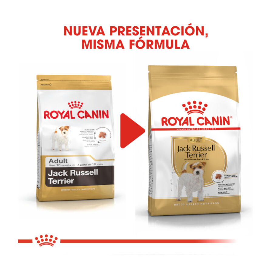 Royal Canin Adult Jack Russell Terrier pienso para perros thumbnail