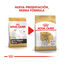 7.5 kg Royal Canin Adult Jack Russell Terrier pienso para perros, , large indicador imagen numero 3