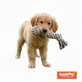 Tootoy! Mordedor de Cuerda con Pelota para perros