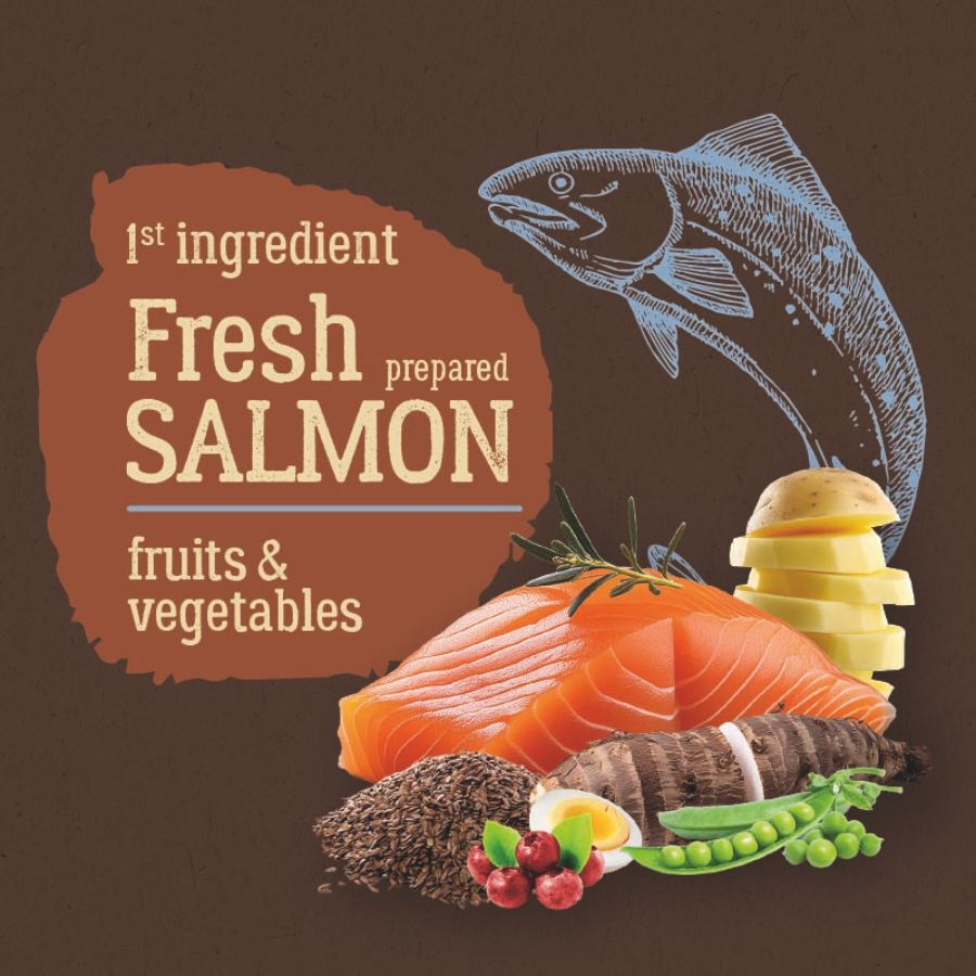 True Origins Pure Kitten No Grain Free Salmón pienso para gatitos thumbnail