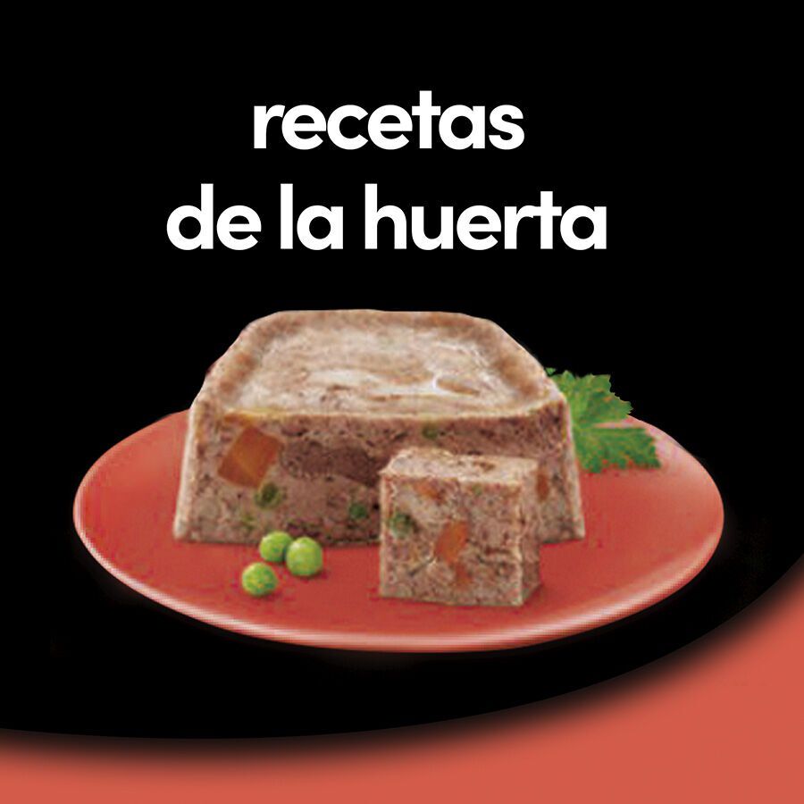 300 g Cesar Buey y Verduras Tarrina en Gelatina para Perros, , large Imagen numero 3