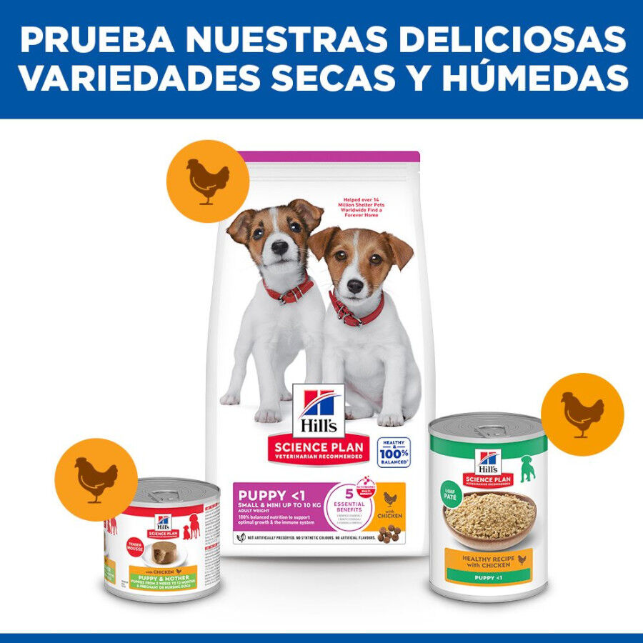 Hill&#039;s Science Plan Puppy Small y Mini Pollo Pienso para cachorros thumbnail