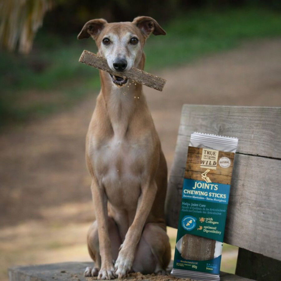 1 ud. True Origins Joints Chewing Sticks Snack para perros, , large Imagen numero 1