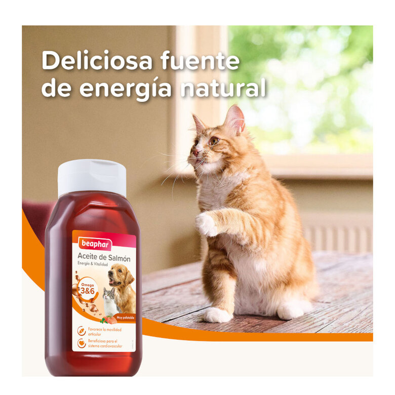 425 ml Beaphar Aceite de Salmón para perros y gatos,  Imagen numero 4 425 ml Beaphar Aceite de Salmón para perros y gatos, , large Imagen numero 4