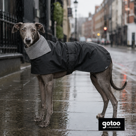 Gotoo Abrigo Gabardina para galgos