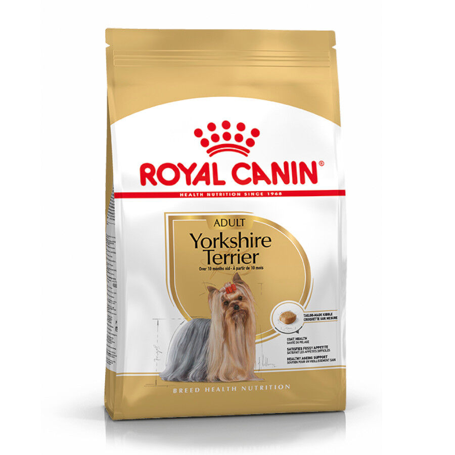 Royal Canin Adult Yorkshire Terrier pienso para perros