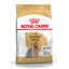 7.5 kg Royal Canin Adult Yorkshire Terrier pienso para perros, , large indicador imagen numero 1