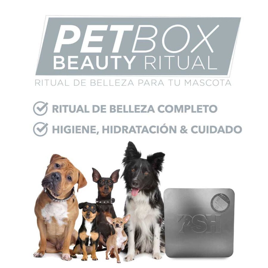 PSH Petbox Beauty Ritual Kit de Higiene para perros thumbnail