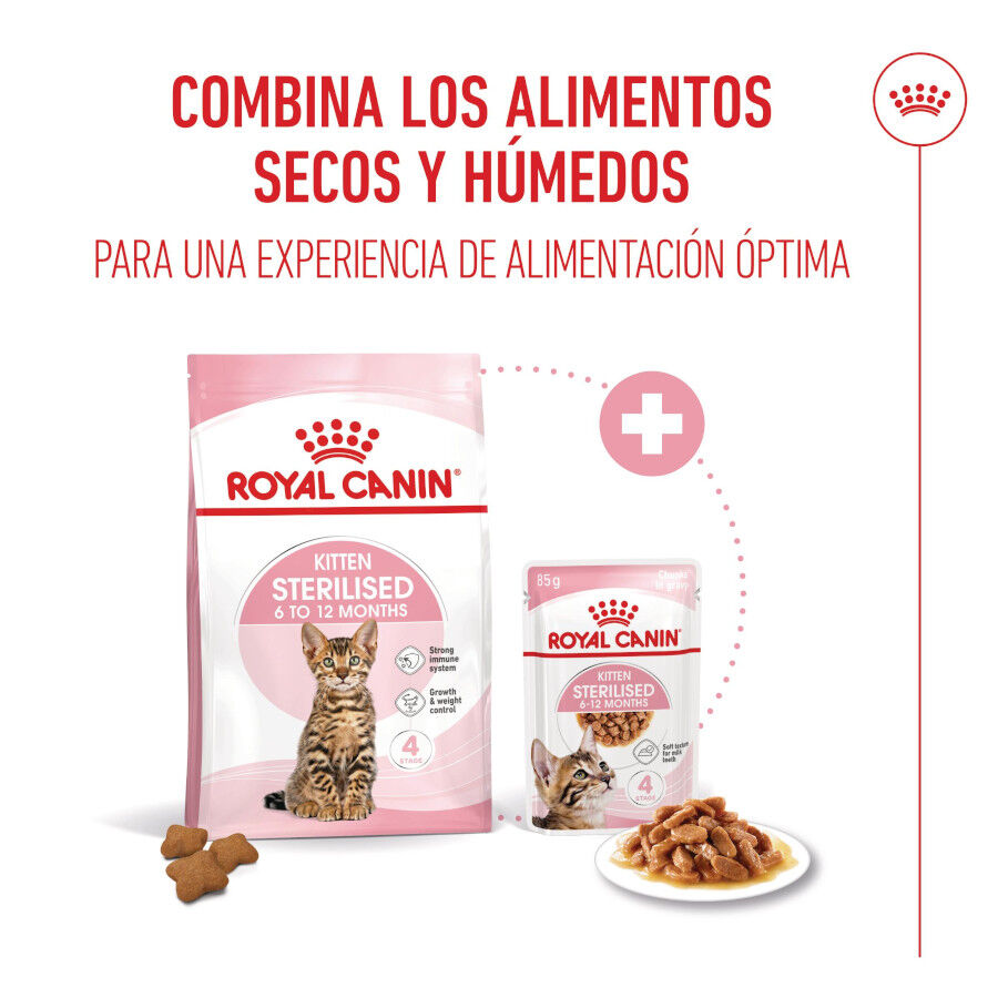 Royal Canin Kitten Sterilised salsa sobre para gatos thumbnail