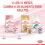 85 g Royal Canin Kitten paté sobre para gatos, , large indicador imagen numero 11