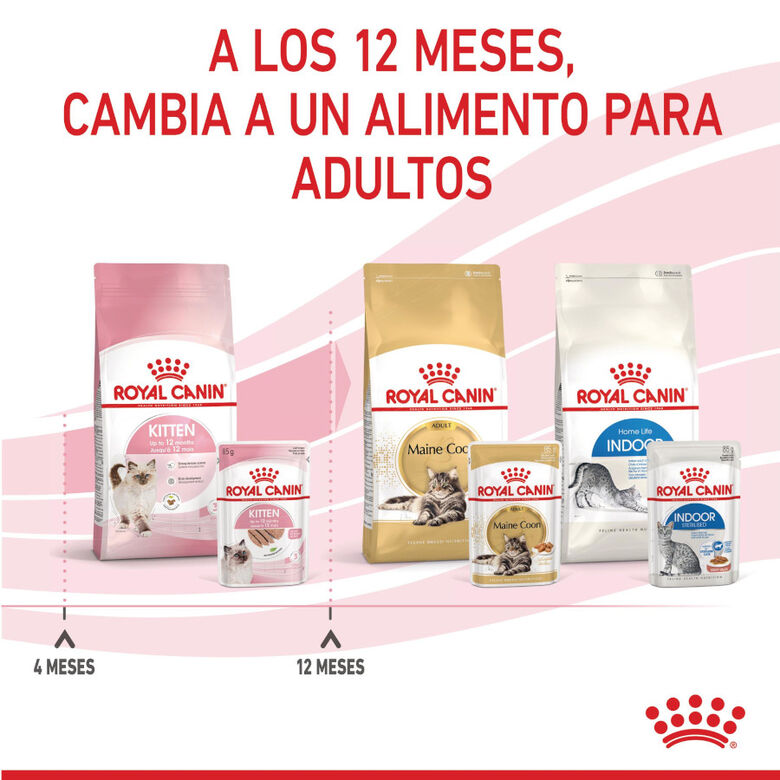 Royal Canin Kitten paté sobre para gatos thumbnail