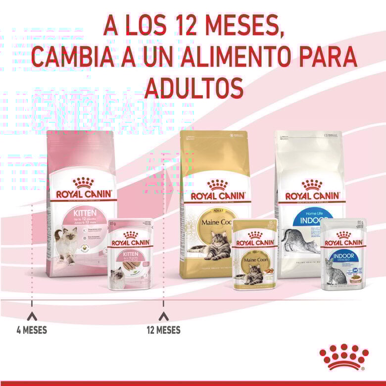 85 g Royal Canin Kitten paté sobre para gatos,  Imagen numero 11 85 g Royal Canin Kitten paté sobre para gatos, , large Imagen numero 11