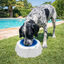 Summer Vibes Bowl Refrescante Comedero y Bebedero para perros, , large indicador imagen numero 1