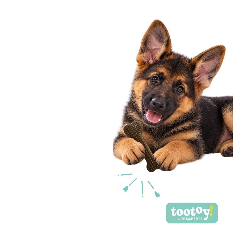Tootoy! Puppy Hueso Llave Coraz&oacute;n Marr&oacute;n Juguete para perros, , large Imagen numero 7