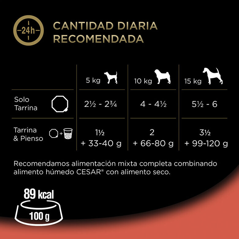 Cesar Buey Tarrina en Paté para Perros thumbnail