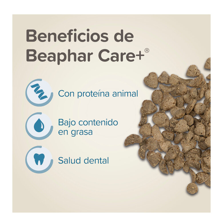 Beaphar Care+ Pienso para ratones y jerbos,  Imagen numero 3 Beaphar Care+ Pienso para ratones y jerbos, , large Imagen numero 3