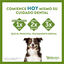 6 barritas Whimzees Snacks Dentales Erizo para perros de razas grandes, , large indicador imagen numero 2