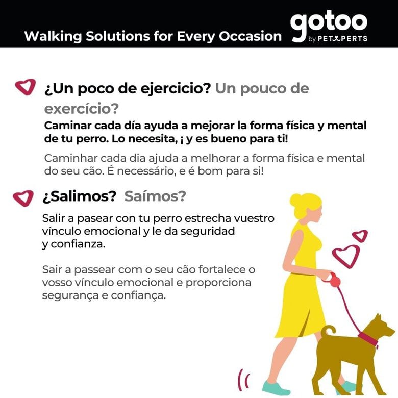 Gotoo Collar martingale de rayas para perros,  Imagen numero 6 Gotoo Collar martingale de rayas para perros, , large Imagen numero 6