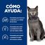 3 kg Hill's Prescription Diet Food Sensitivities d/d Pato pienso para gatos, , large indicador imagen numero 4