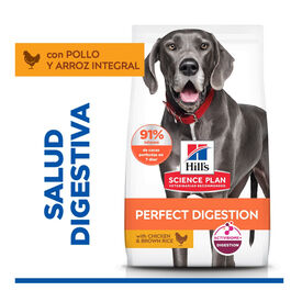Hill's Science Plan Perfect Digestion Adult large Pollo pienso para perros