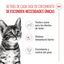 85 g Royal Canin Kitten Sterilised salsa sobre para gatos, , large indicador imagen numero 3
