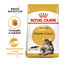 4 kg Royal Canin Adult Maine Coon pienso para gatos, , large indicador imagen numero 2