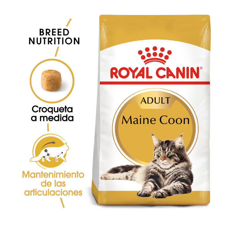 10 kg Royal Canin Adult Maine Coon pienso para gatos,  Imagen numero 2 10 kg Royal Canin Adult Maine Coon pienso para gatos, , large Imagen numero 2