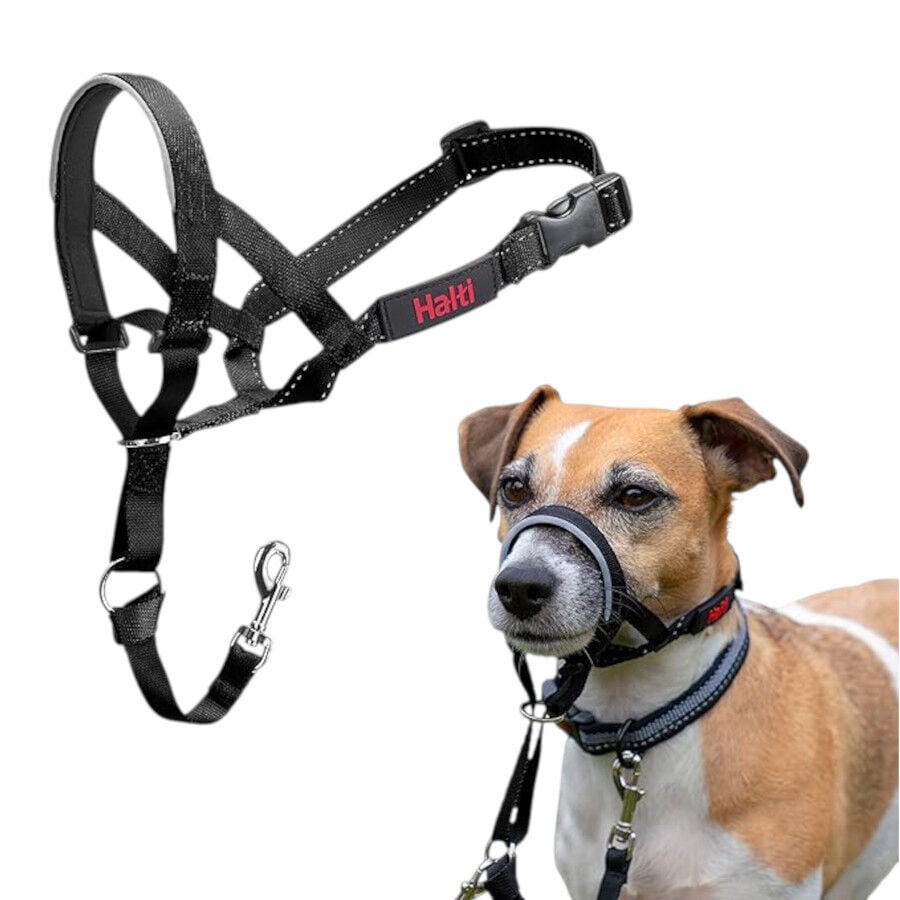 Halti collar con bozal de tela negro para perros, , large Imagen numero 2