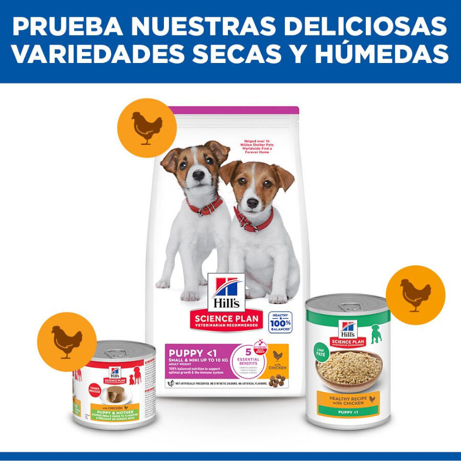 6 kg Hill's Science Plan Puppy Small y Mini Pollo Pienso para cachorros, , large Imagen numero 8