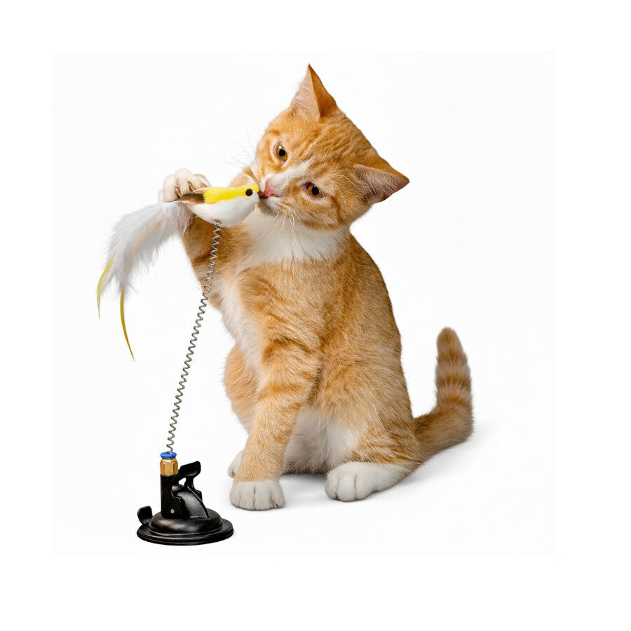 Playology Juguete Interactivo Se&ntilde;uelo P&aacute;jaro para gatos, , large Imagen numero 5