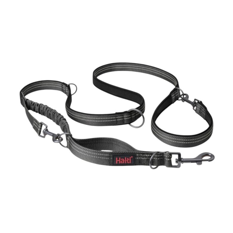 Halti correa multifuncional gris para perros,  Imagen numero 1 Halti correa multifuncional gris para perros, , large Imagen numero 1