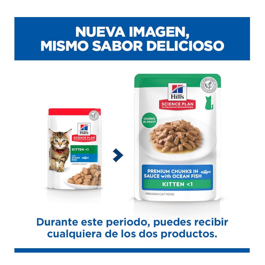 85 g Hill's Science Plan Kitten Pescado Azul sobre para gatos, , large Imagen numero 2