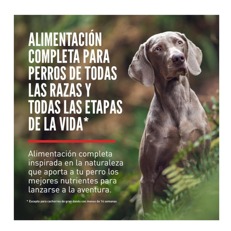 11.4 kg Orijen Adult Original pienso para perros,  Imagen numero 2 11.4 kg Orijen Adult Original pienso para perros, , large Imagen numero 2