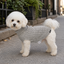 Gotoo Jersey de Punto Gris para perros, , large indicador imagen numero 1