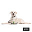 Gotoo Collar de malla transpirable gris para perros, , large indicador imagen numero 5