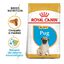 Royal Canin Puppy Pug pienso para perros, , large indicador imagen numero 2