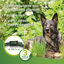 Beaphar Collar repelente para perros, , large indicador imagen numero 4