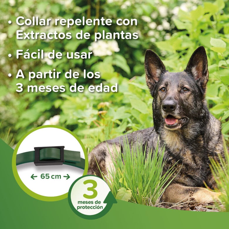 Beaphar Collar repelente para perros,  Imagen numero 4 Beaphar Collar repelente para perros, , large Imagen numero 4