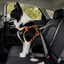 Outech X-perience Arn&eacute;s de Coche para perros, , large indicador imagen numero 2